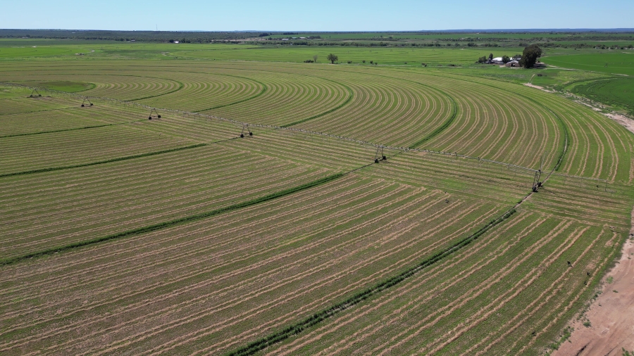 0 Bedroom Property for Sale in Douglas Rural Northern Cape